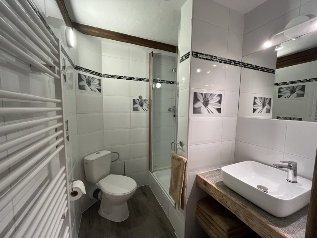 Pokoj č.3_čtyřlůžkový pokoj_koupelna